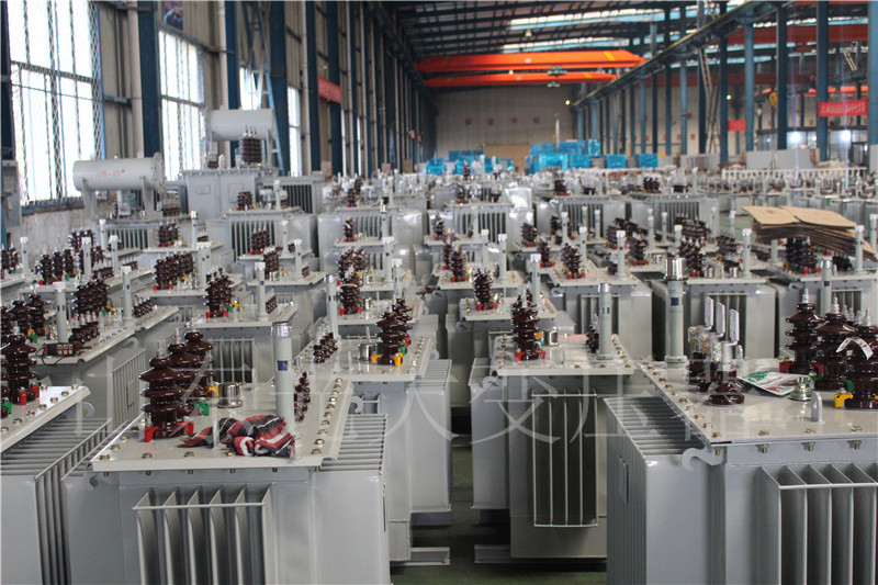 柏乡S22-800KVA/10KV油浸式变压器